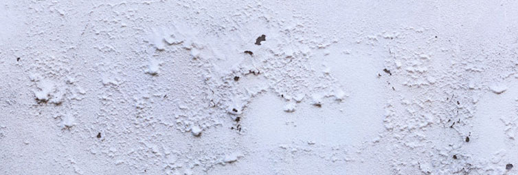 10 Common Defects Observed in Plastering