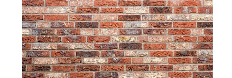 The Ultimate Guide to Bricks and Blocks Before Buying