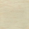 Johnson's Sandune Crema Tiles - 600mm x 600mm