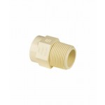 Male Adapter(Cpvc Threads) - 25mm x 20mm