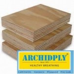 Archidply Commercial Plywood - 8mm