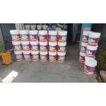 Birla exterior primer