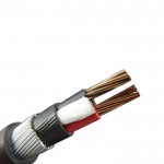 Polycab's Copper Armoured LT Cable 6mm 2Core