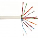 Polycab's Telephone Cable (10 Pair) 0.5 mm - 90 Mtrs