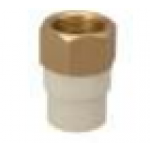 PipolE Pipes - CPVC BRASS Fittings - Hexa Female Adopter Brass Threaded (FABT) - 3/4 inch (20 mm) Dia