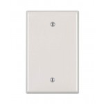 White MR - Blank Plate (Switch) - 1M