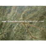 Bhandari Marble World's Rainforest Green