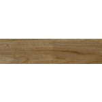 AGL's Wood 1005 Tiles - 146x600mm