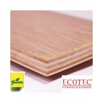 Green PLYWOOD - Ecotec BWR(Thickness - 8/9mm)