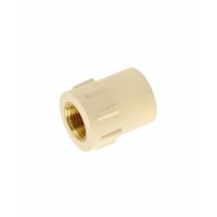 Astral Brass FPT Coupling - 25x15mm