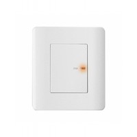 Met. Grey (MR-MG) - 20A. Switch with indicator - 2M