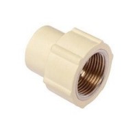 Reducing Female Adapter Brass Threaded - FABT - 25mm x 20mm(1" x 3/4")