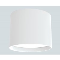 Surface LED Downlight - RL199 - 20W 3 IN 1