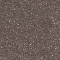 Double Charge Vitrified Tile