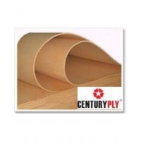 Century PF Flexible Plywood - 3.5mm