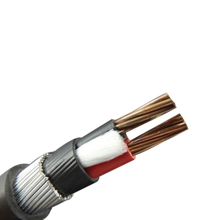 Polycab's Copper Armoured LT Cable 6mm 2Core - Wires and Cables