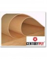 Century PF Flexible Plywood - 6mm