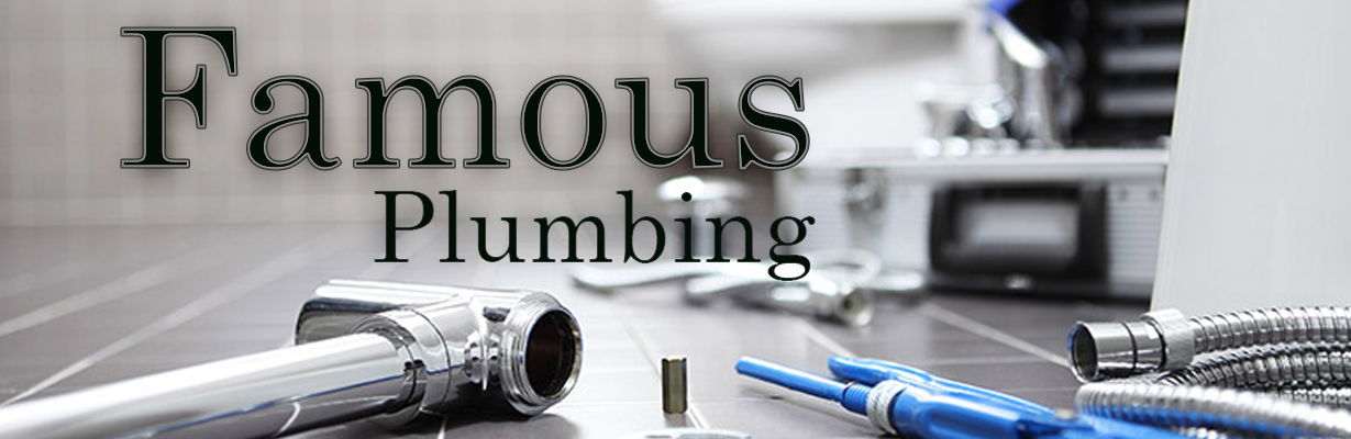 Famous Plumbing 