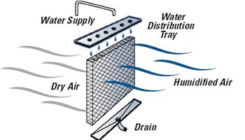 Humidifiers are used mostly in dry and tropical regions where the humidity content in the air is less