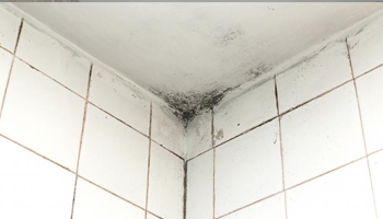 Mould in bathroom ceiling